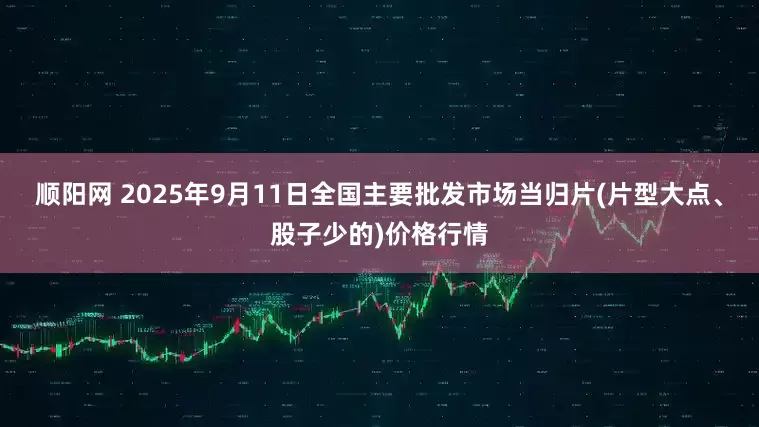顺阳网 2025年9月11日全国主要批发市场当归片(片型大点、股子少的)价格行情