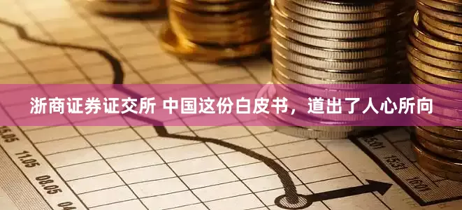 浙商证券证交所 中国这份白皮书，道出了人心所向
